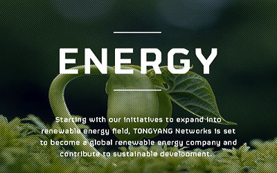 Dongyang network Website.